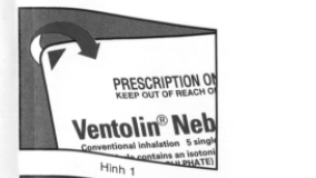  Cửa hàng bán Dung dịch khí dung Ventolin Nebules 2.5mg trị ngừa co thắt phế quản tốt nhất